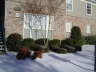 Front yard covered with ice