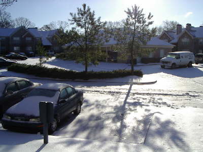The neighborhood