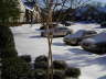 Another view of our neighborhood