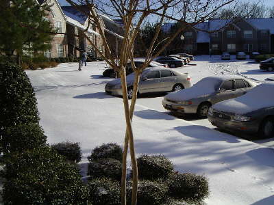 Another view of our neighborhood