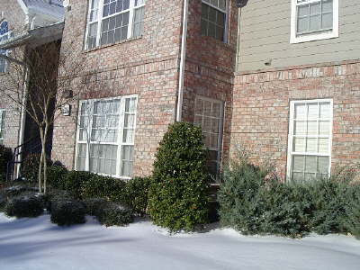 Sleet covered pavement